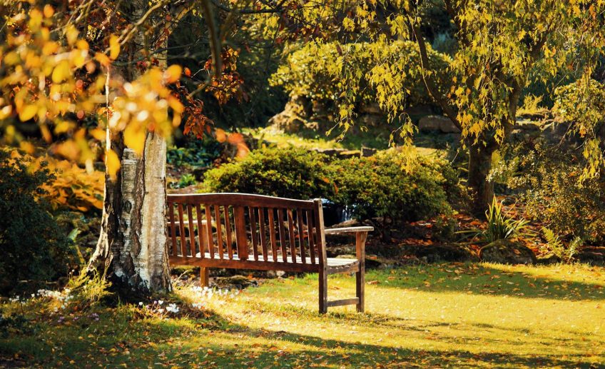 Serene wooden bench surrounded by vibrant autumn foliage in a tranquil Kent park